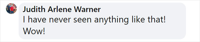 Man Captures Owl Flying Away With Child’s Hobby Horse Like A Witch Riding A Broom, Leaves The Internet In Stitches Man Captures Owl Flying Away With Child’s Hobby Horse Like A Witch Riding A Broom, Leaves The Internet In Stitches