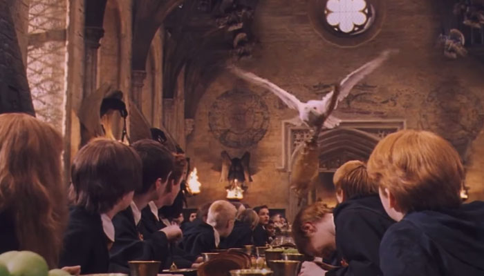 Man Captures Owl Flying Away With Child’s Hobby Horse Like A Witch Riding A Broom, Leaves The Internet In Stitches Man Captures Owl Flying Away With Child’s Hobby Horse Like A Witch Riding A Broom, Leaves The Internet In Stitches