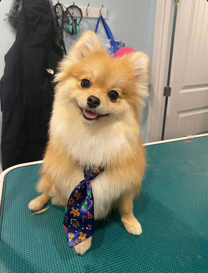 Have You Heard About Our Great Deals On Printer Toner?