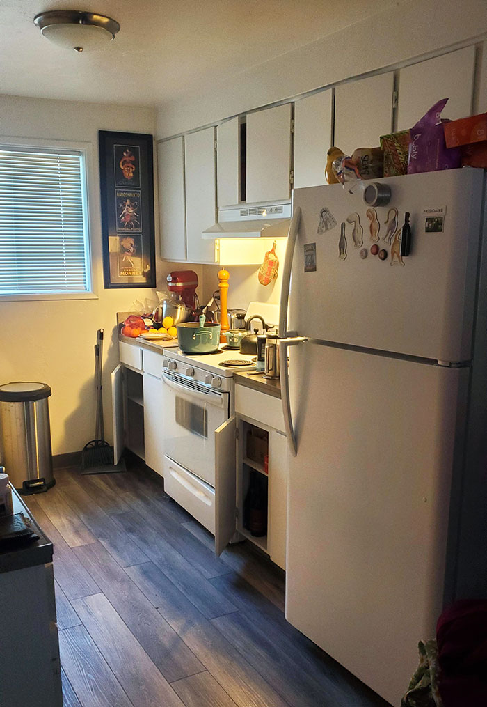 Neighbors Are Slamming Their Cabinets So Hard They Opened Mine. They're Having A Fight, So Now I'm Blasting Shrek As Revenge