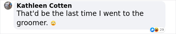 &ldquo;He Had One Job!&rdquo;: Husband Goes To Groomers, Comes Home With The Wrong Dog