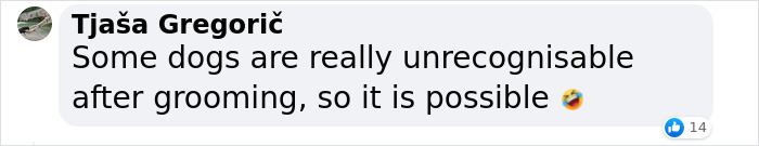 &ldquo;He Had One Job!&rdquo;: Husband Goes To Groomers, Comes Home With The Wrong Dog