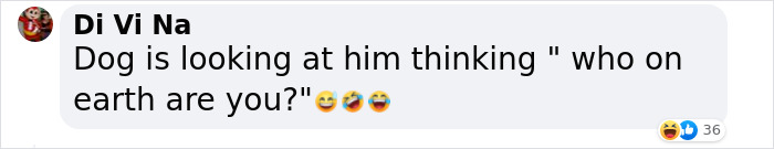 &ldquo;He Had One Job!&rdquo;: Husband Goes To Groomers, Comes Home With The Wrong Dog