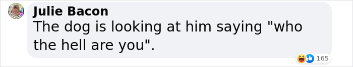 &ldquo;He Had One Job!&rdquo;: Husband Goes To Groomers, Comes Home With The Wrong Dog