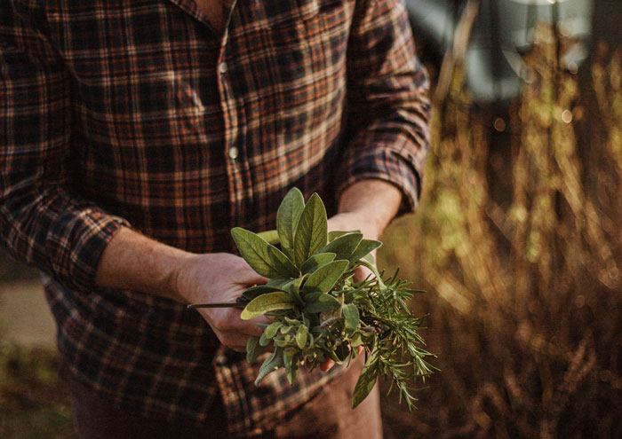 Person holding plants in the hands