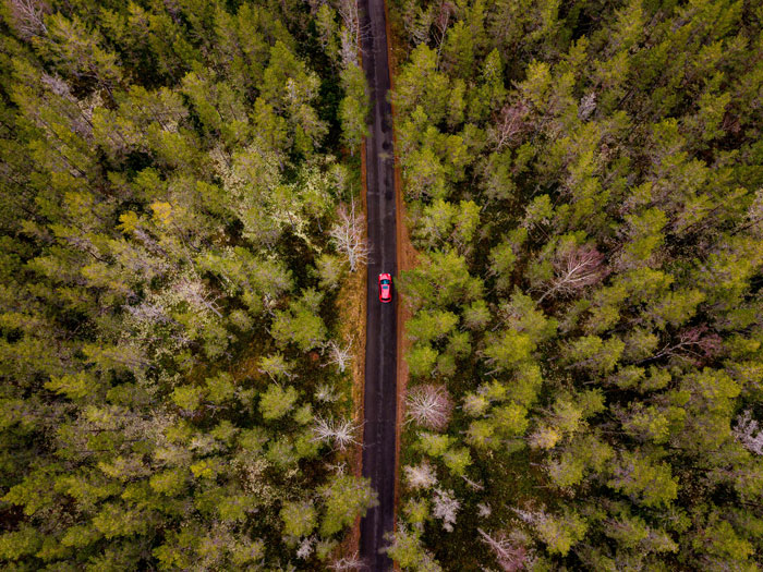 Forest and road in the centre