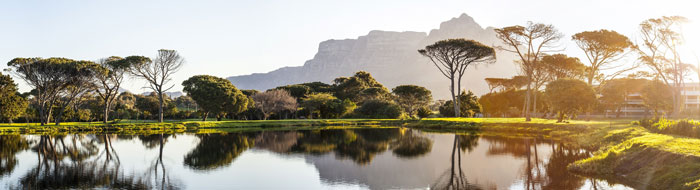 Panoramic picture of forest and lake