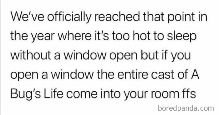 Relatable-British-Memes