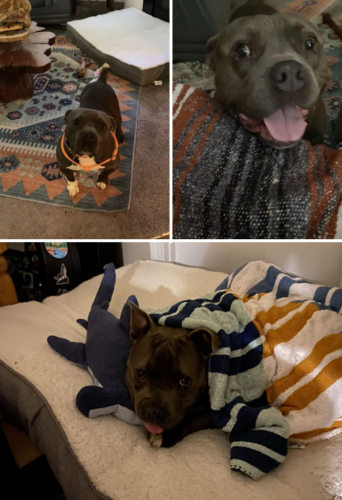 I Adopted The Goodest 6 Year Old Boy Ever