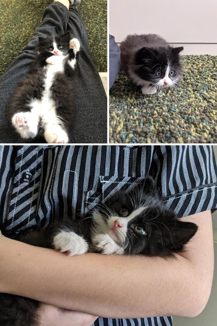 Rescued This Little Guy From The Hood Of A Car A Few Days Ago