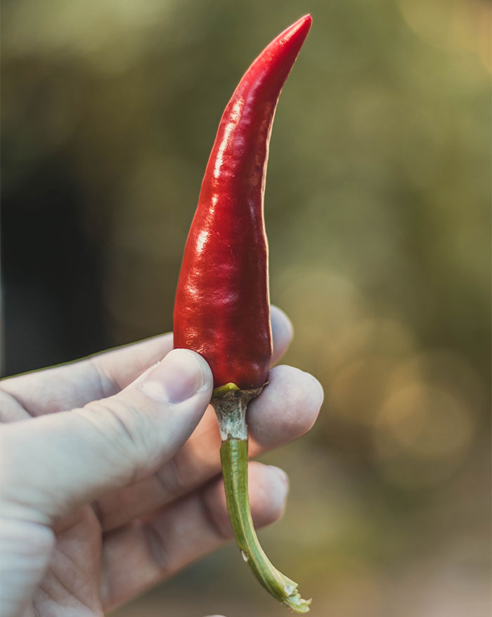 Restaurant Owner Gets Tired Of Overconfident Men, Develops A Tongue-Burning 'Culinary Monstrosity' To Shut Them Down