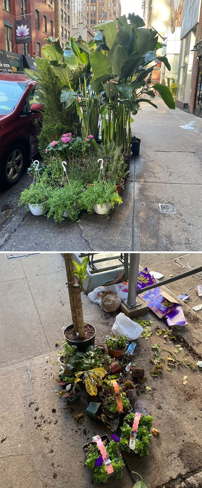 Umm The Mother Lode Of Everything Plant Babies!