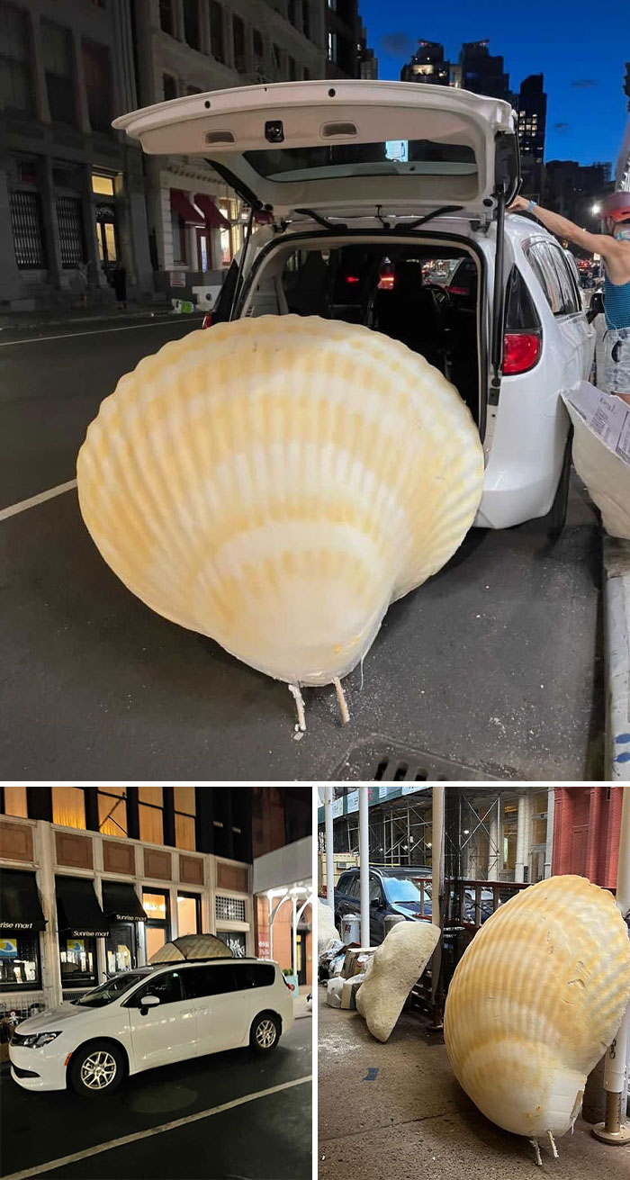 Real Friends Aren’t Shell-Fish