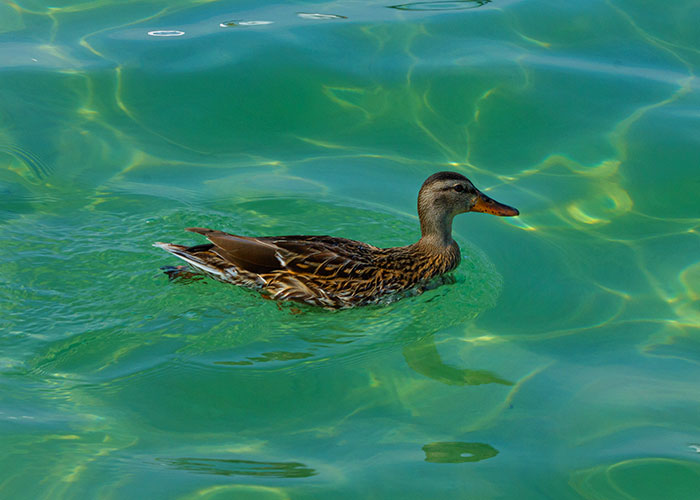 20 Personas sorprendidas al descubrir que algo habitual en sus vidas no era normal