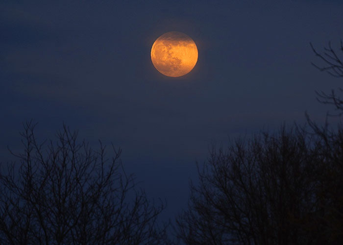 20 Personas sorprendidas al descubrir que algo habitual en sus vidas no era normal