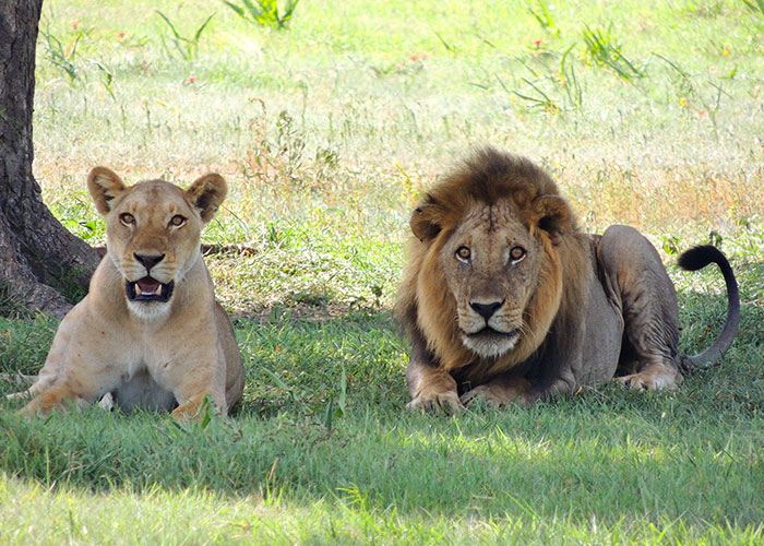 20 Personas sorprendidas al descubrir que algo habitual en sus vidas no era normal