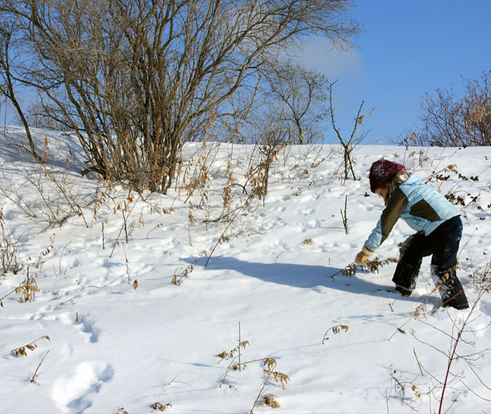 20 Reglas extrañas y estúpidas que se impusieron en algunas escuelas