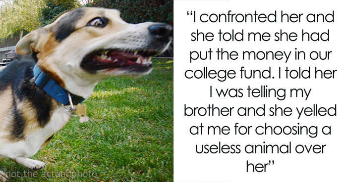 Family Drama Ensues After Dad Gifts His Son A Dog, Mom Sells It For $4K And Says That It Ran Away