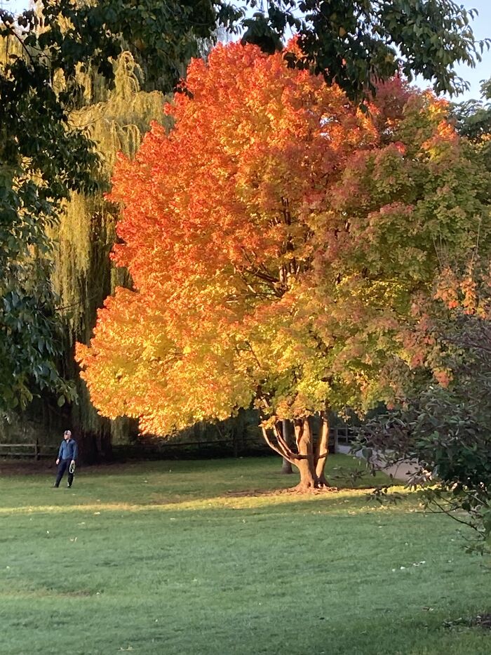 The Park Across The Street, Last Weekend