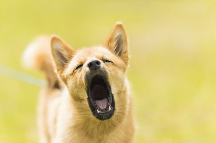 “What Is The Most Terrifying Thing To Happen To You In A Well-Lit And Populated Place?”: 30 People Tell Some Terrifying Stories