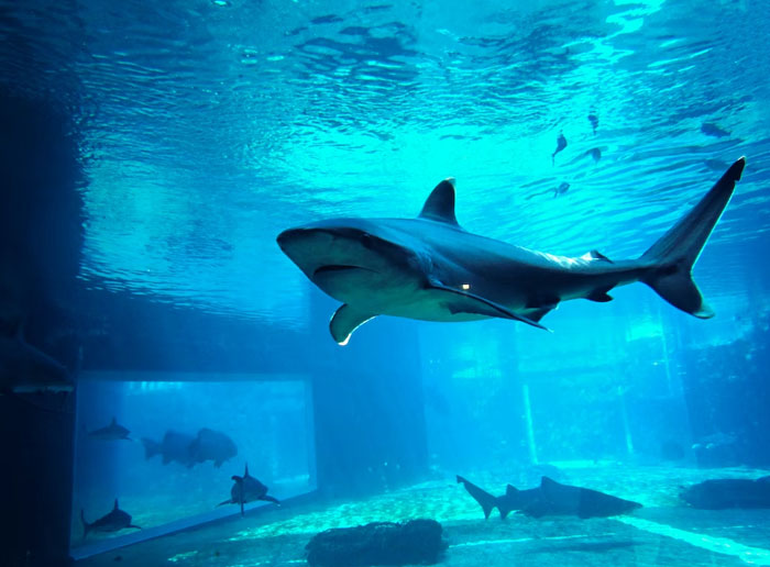 “What Is The Most Terrifying Thing To Happen To You In A Well-Lit And Populated Place?”: 30 People Tell Some Terrifying Stories