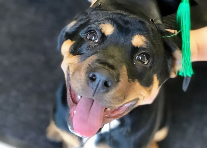 People Share 30 Changes They Made And Things They Did That Greatly Improved Their Mental Health