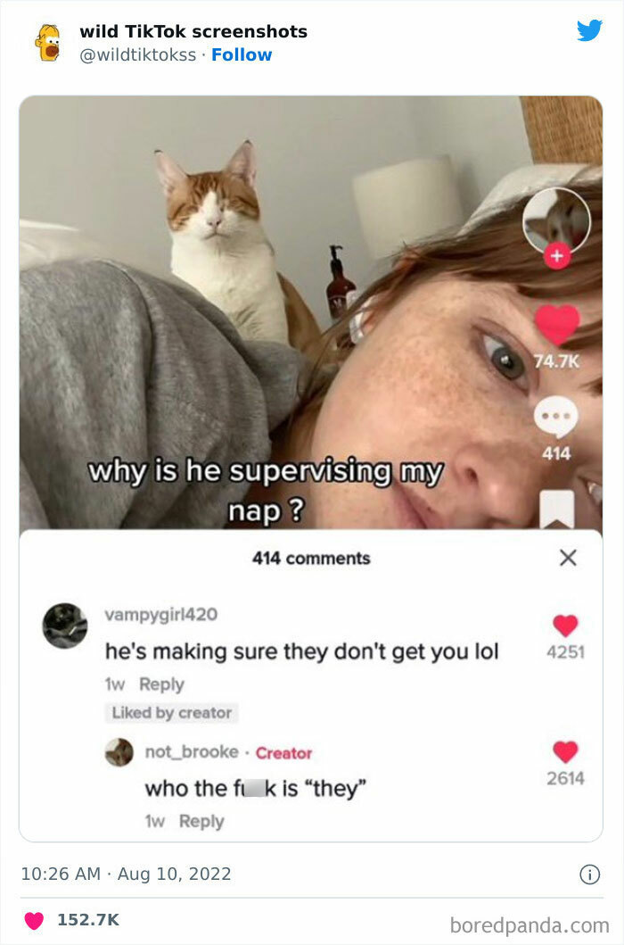 Wild-Tiktok-Screenshots