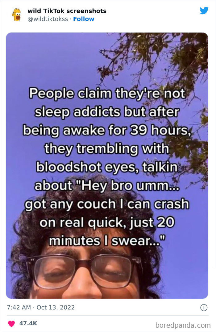 Wild-Tiktok-Screenshots