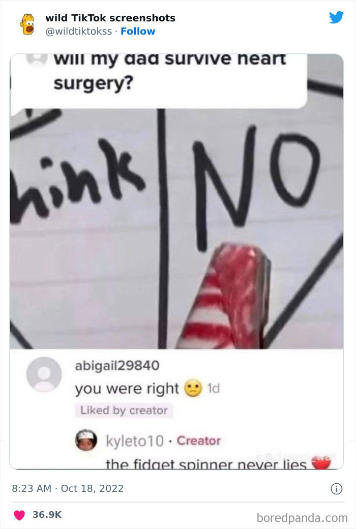 Wild-Tiktok-Screenshots