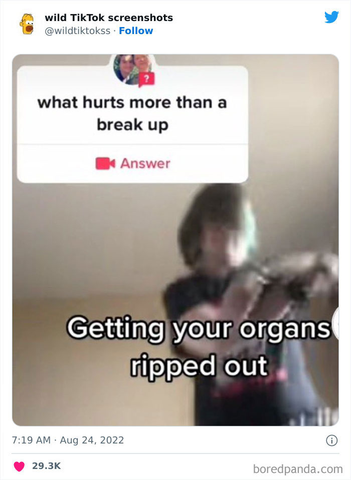 Wild-Tiktok-Screenshots