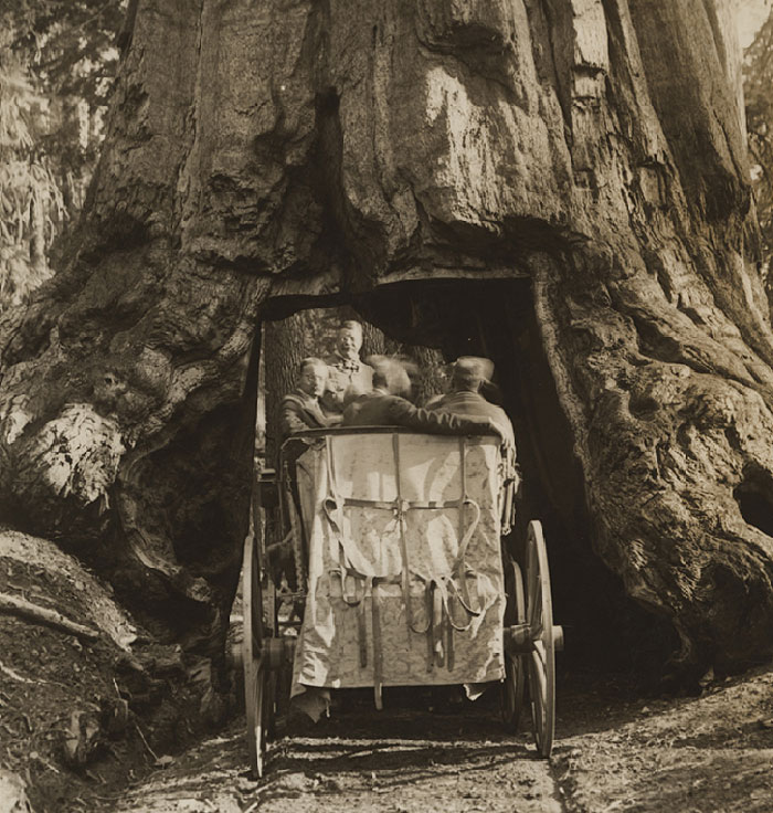 "Hoy aprendí": 25 datos fascinantes que quizá no conozcas