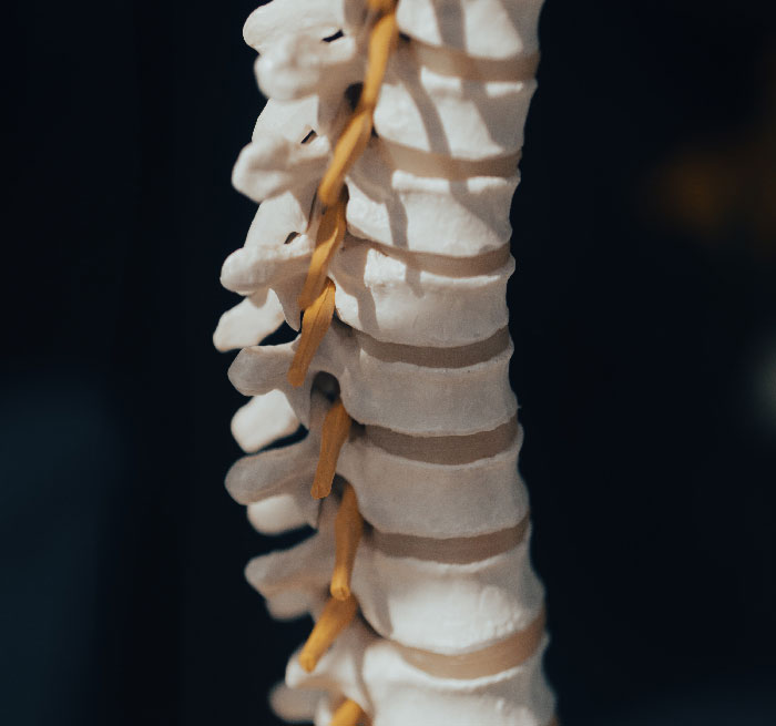 "Hoy aprendí": 35 nuevos datos curiosos que tú también puedes aprender hoy