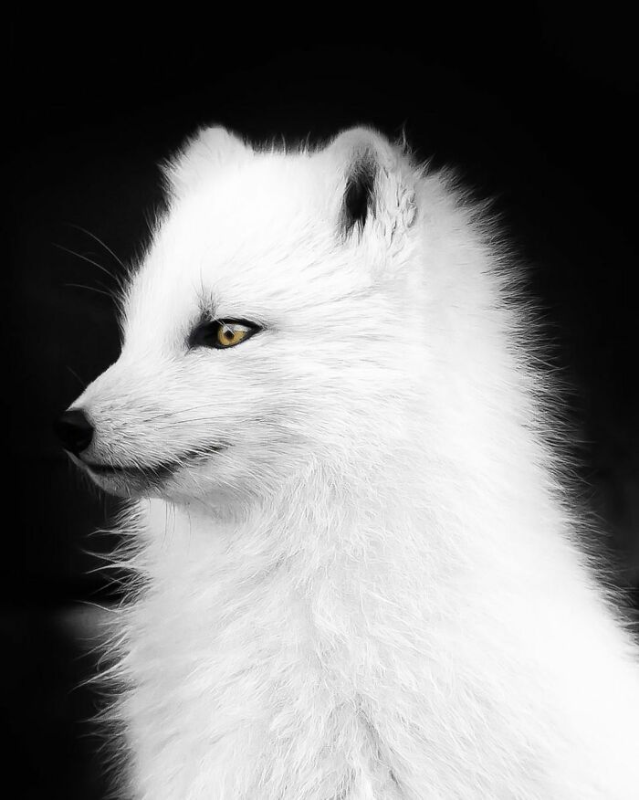 50 Pics Of Nordic Nature That I Captured When I Moved To Iceland