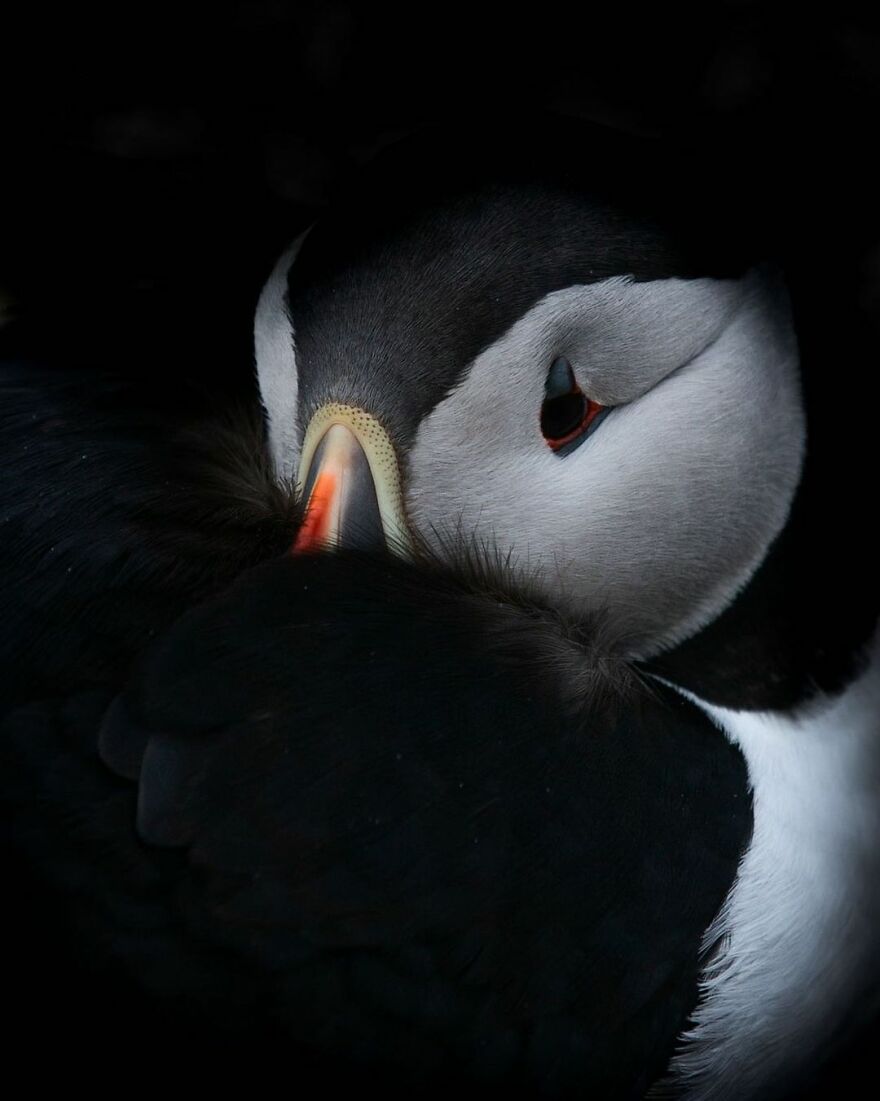 22 Pictures Of Captivating Nordic Nature That I Took When I Moved To Iceland