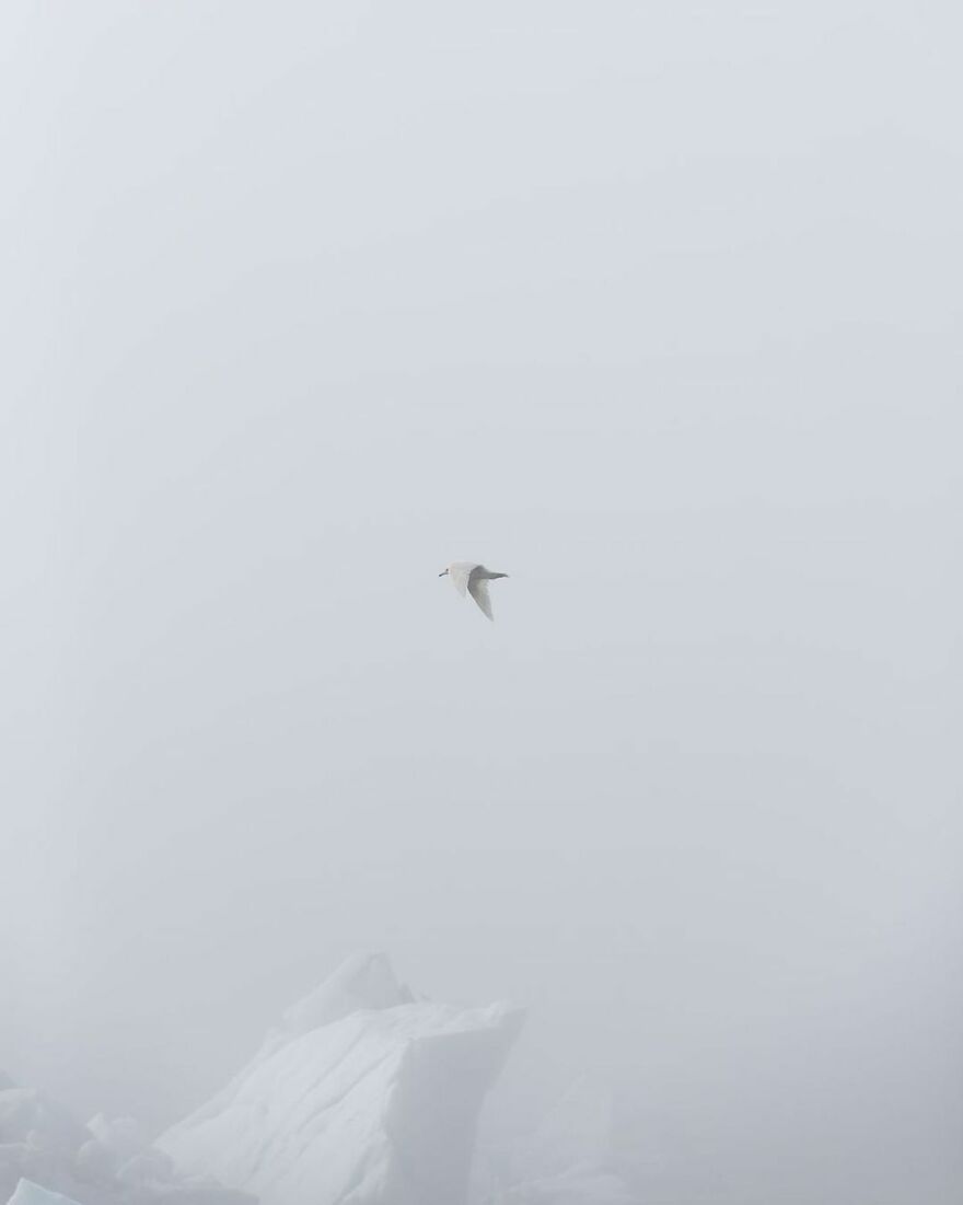 22 Pictures Of Captivating Nordic Nature That I Took When I Moved To Iceland