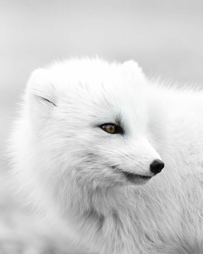 50 Pics Of Nordic Nature That I Captured When I Moved To Iceland