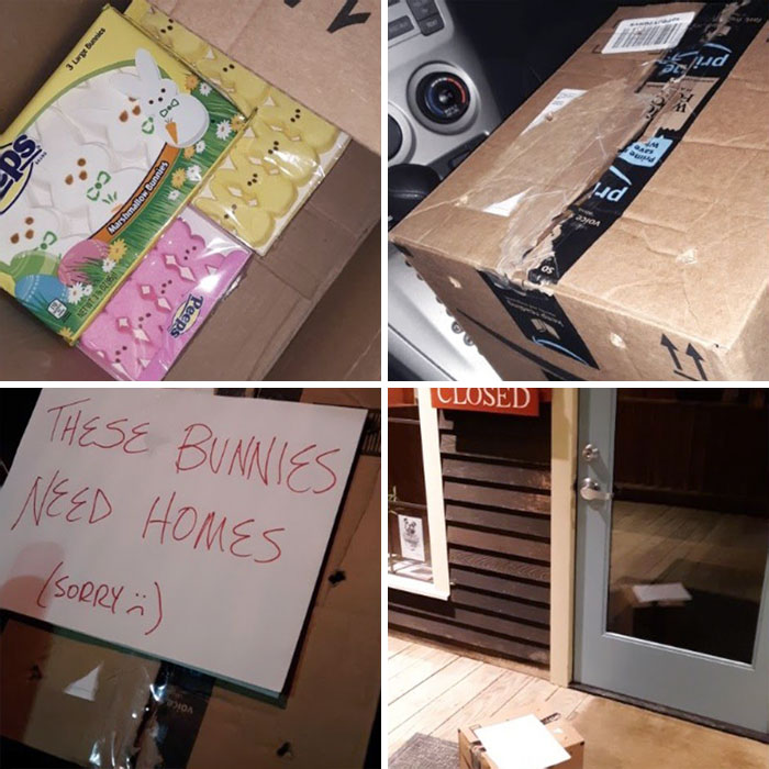 I Work At A Vet Hospital. Just Left The Morning Crew A Little April Fools Surprise