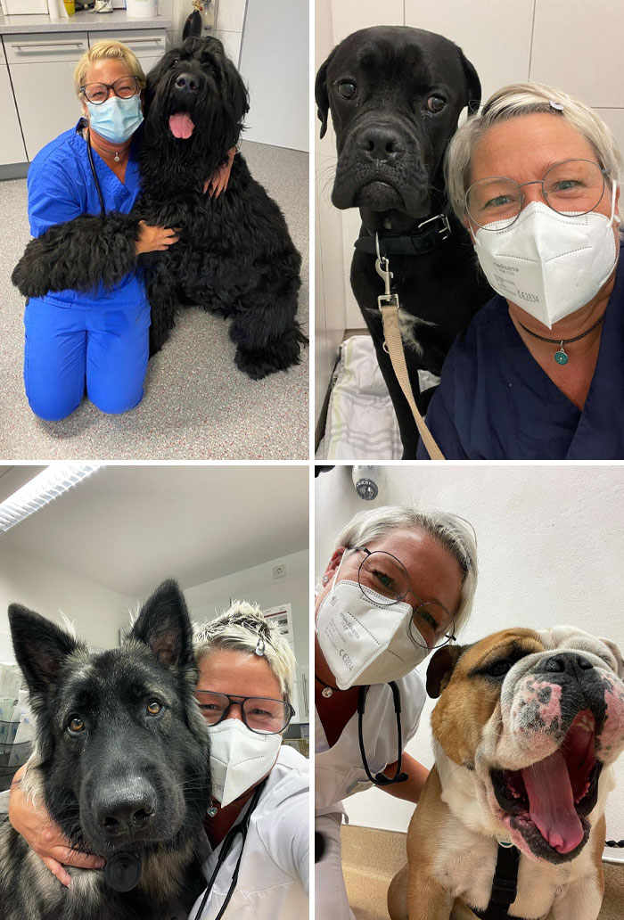 World Dog Day. I Wish You A Nice Start Into The Week And Hope You Get In A Good Mood With One Or The Other Photo