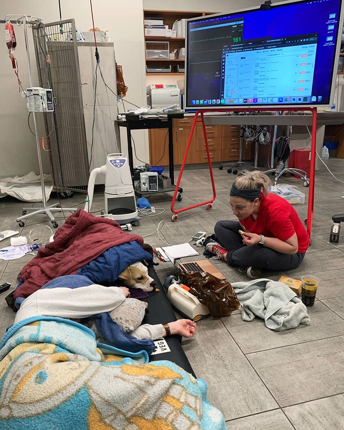 From The Moment You Walk In, Our Goal Is To Keep You And Your Pet Together. The Treatment Room, The Exam Room, Or Even A Play Pen. We Love Keeping Family Together