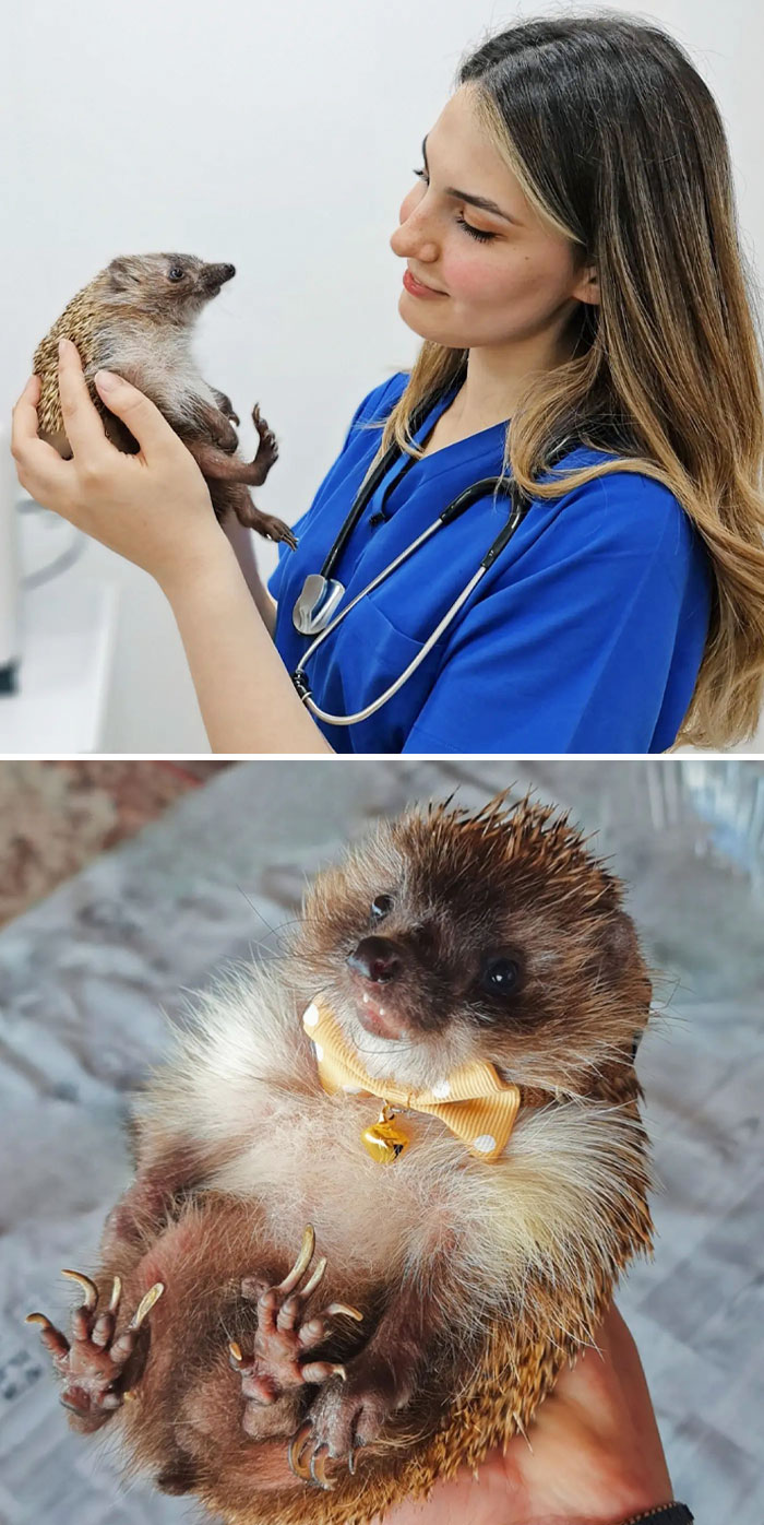 Are We Ready To Meet This Beauty From Wild Life?