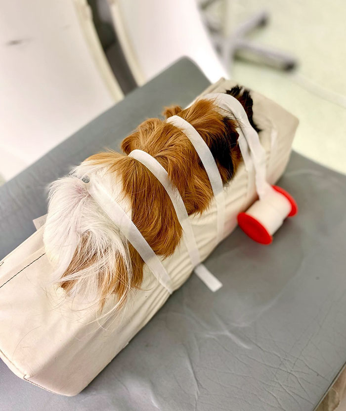 When The Anesthesiologist And Cardiologist Says No And The Radiologist Has To Say, Yes Somehow