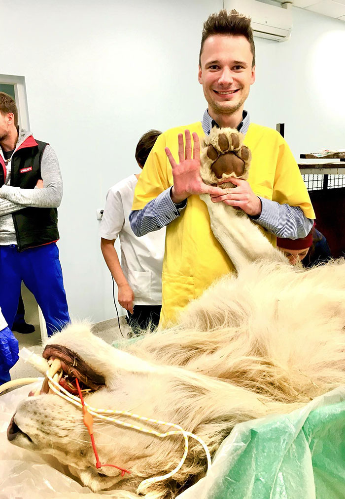 Whose Hand Is More Dangerous?