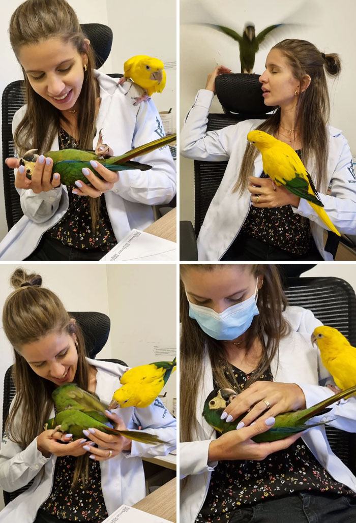 If I Were Asked: "Describe The Energy Of These Two Without Saying A Word", I Would Certainly Show This Sequence Of Photos