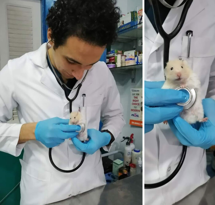 Hammie Going For Checkup