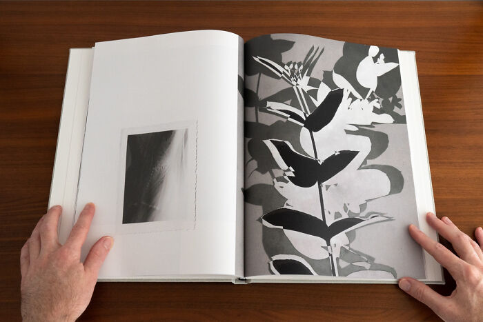 A Photo Book Following The Bride And Her Mother Making A Wedding Dress (33 Pics)