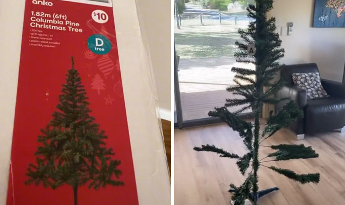 30 Of The Most Disappointing "What I Wanted Vs What I Got" Examples (New Pics)