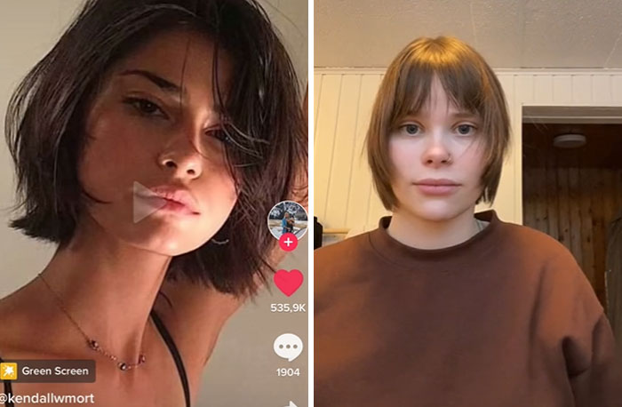 30 Of The Most Disappointing "What I Wanted Vs What I Got" Examples (New Pics)