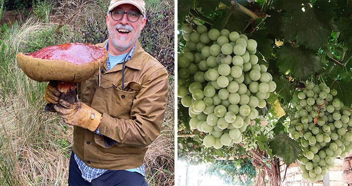 50 Times People Found Something Amazing While Foraging And Just Had To Share In This Dedicated Online Group