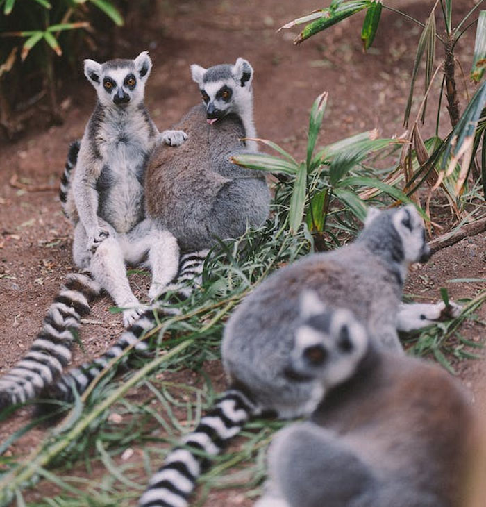 Non-Americans Share 30 Annoying Things Most American Tourists Do But Shouldn't When Visiting Their Countries