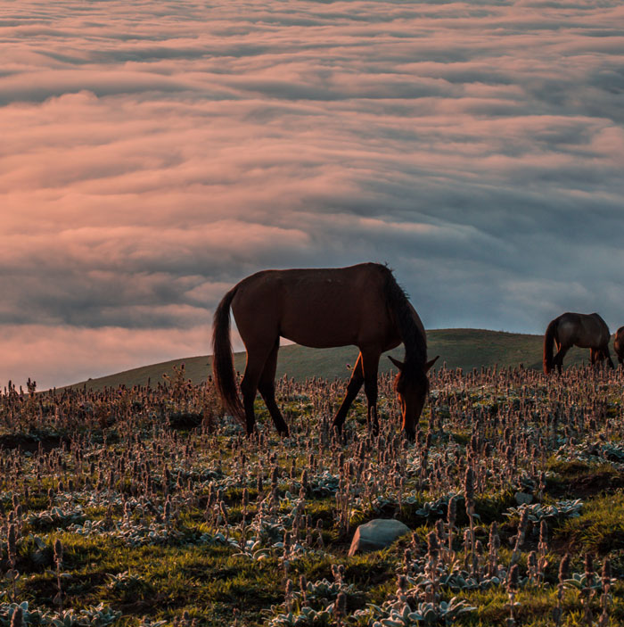 Non-Americans Share 30 Annoying Things Most American Tourists Do But Shouldn't When Visiting Their Countries